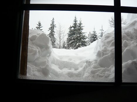 Bernadette Bernadette P, détail sortie