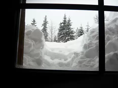 Bernadette Bernadette P, détail sortie