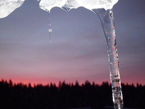 Nathalie Nathalie Lecutiez, détail sortie