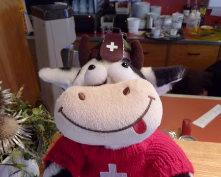 PXL000 Petit voyage en Suisse en compagnie de Marguerite !