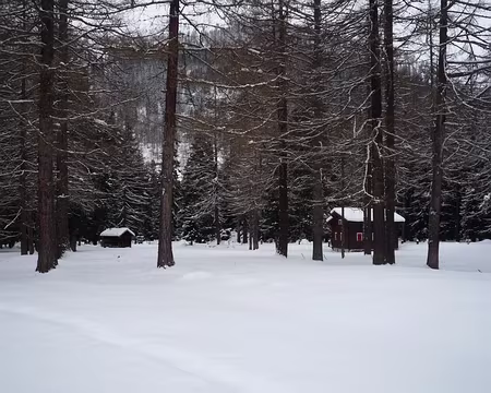 PXL024 Ils sont où les 7 nains ???