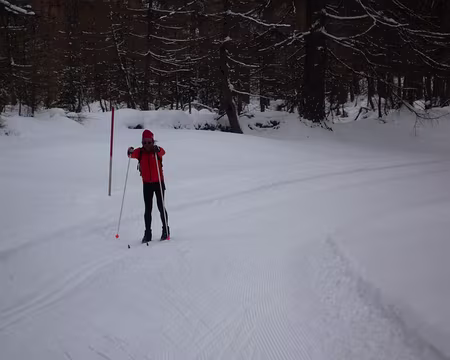 PXL029 Le planté de bâtons, le planté de bâtons hurle Cricri .....