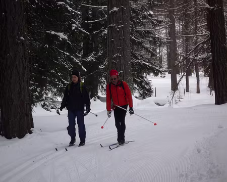 PXL031 Petit exercice sans les bâtons, pas facile pour des débutants :-((