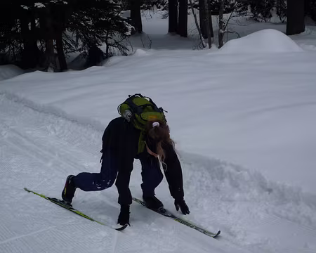 PXL037 ..... et pour cause, ses skis sont de vrais patins à glace