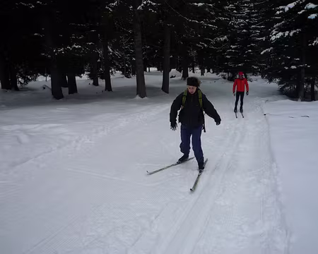 PXL041 Sandra n'en reste pas là, c'est une battante ;-))