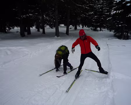 PXL042 Bah Christian, faut pas déconcentrer tes élèves, espèce de farceur va ;-))