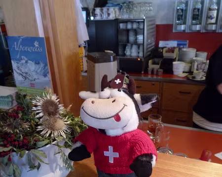 PXL082 Notre copine danseuse