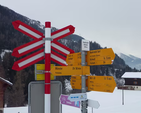 P1010422 Où aller ? Le tout c'est de trouver la bonne flèche ;-)