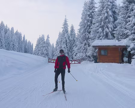 PXL009 Premier péage