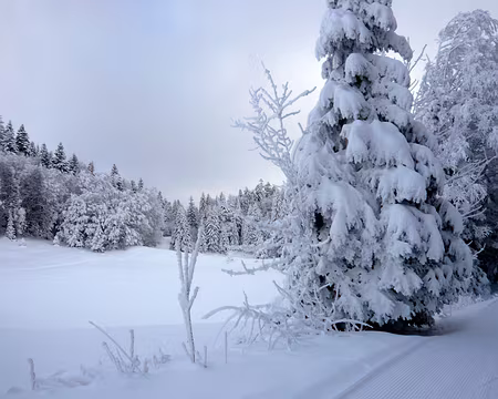 PXL017 Il fait particulièrement froid sur Saint-François
