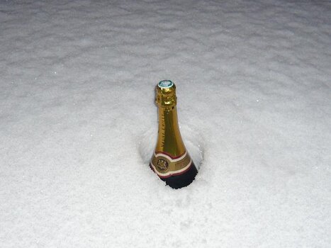 Bernadette Bernadette P, détail sortie