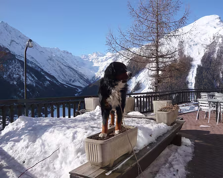 PXL032 Le cabot de service