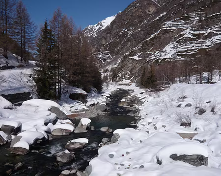 PXL040 En descendant vers Epinel : la vallée des chamois
