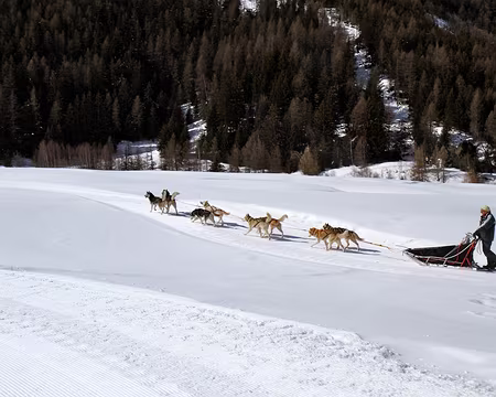 PXL015 Ba Nan ! c'po l'Quebec lo !