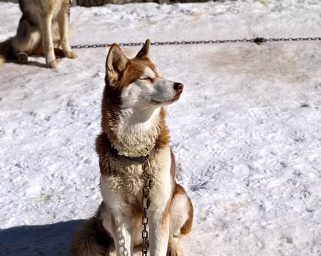 PXL018 Qu'il est bon de prendre le soleil...