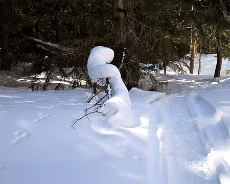 PXL037 La nature s'amuse...