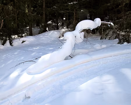 PXL038 Et crée des oeuvres d'art.