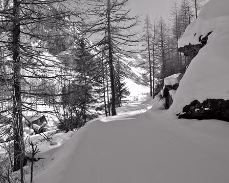 PXL050 Et en Black and White ?