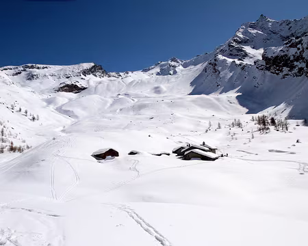 PXL097 ça sent le pique-nique