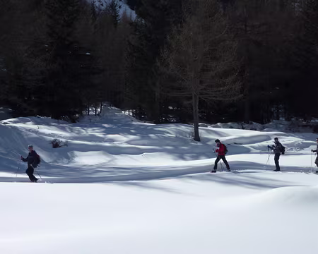 P1030237 Le groupe de raquettes