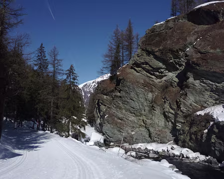 P1030311 Torrent Grand'Eyvia, du côté de Cretaz