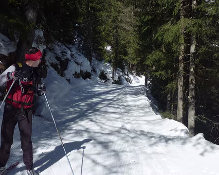 P1030314 Les chamois traversent la piste entre deux skieurs !