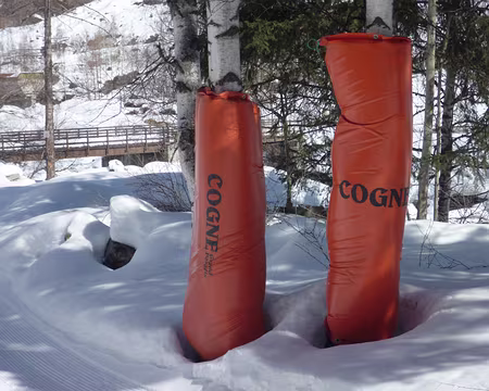 P1030323z2807 Cogne, si tu oses !