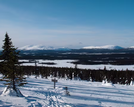 CK_20 Du sommet d'une taupinière