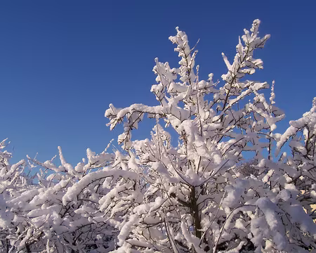 1. Nous ne sommes pas encore en Suisse, mais dans les Yvelines, la veille du départ !