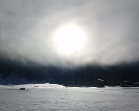 PXL012 soleil d'hiver I