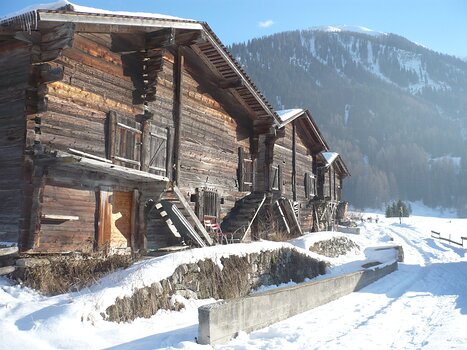 Alice, Michel et Bernadette