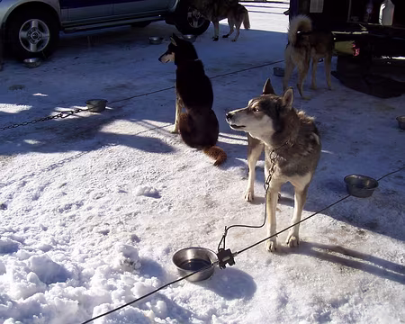 10 Ils se concentrent avant la course.