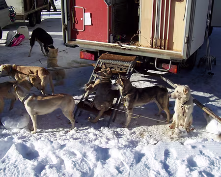 11 Ils piaffent d'impatience !