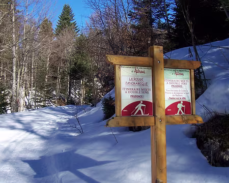 03 La piste continue à grimper dans la forêt