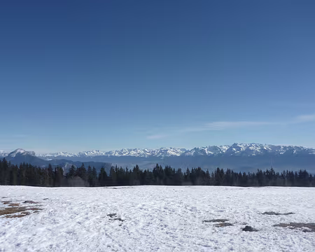 P1050362 Vue sur les Alpes, du Mont Blanc à gauche, à la Meige à droite