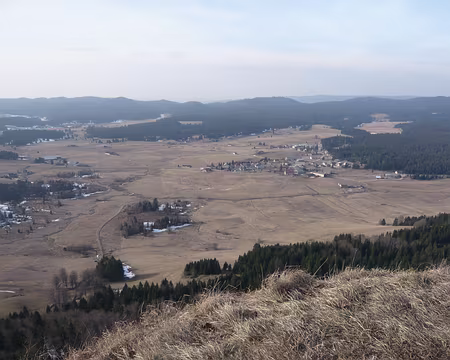 PXL007 et contempler l'étendue des désastres