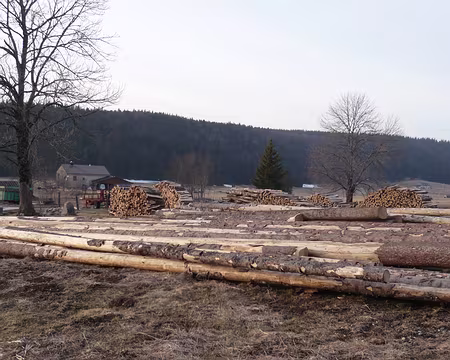 PXL009 Mauvaise histoire : homme blanc couper beaucoup bois, hiver sera rude ?