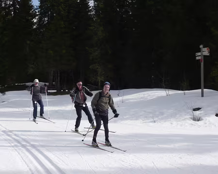 PXL012 La neige est bien présente dans le massif du Risoux
