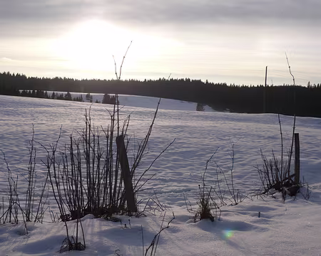 PXL044 Et retour au soleil couchant