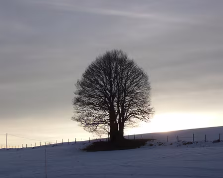 PXL051 Imperturbable : pluie, neige, sécheresse, il rayonne et il se marre.