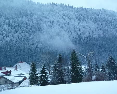 PXL004 Enfin la neige!
