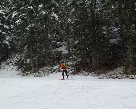 PXL005 Canard glissé...