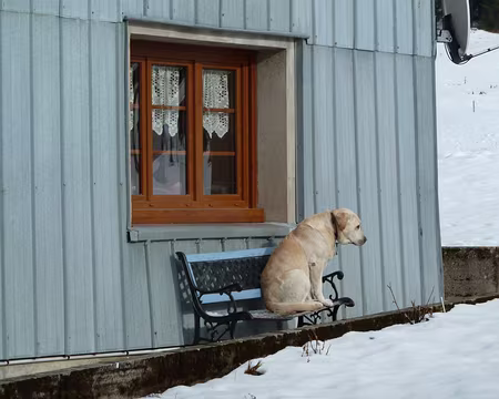 PXL010 Ils en font du bruit....