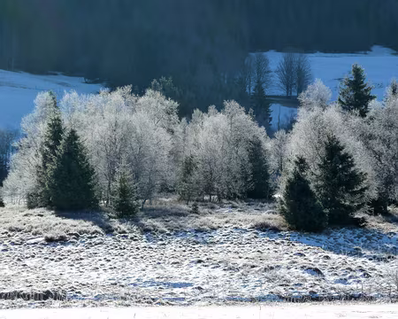 PXL025 mais le soleil arrive...