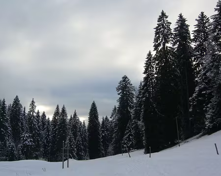 PXL014 l'accueillante.