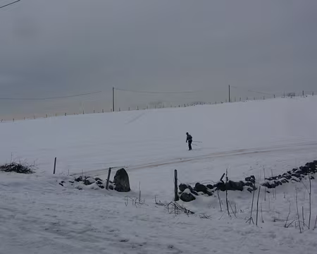 PXL019 Bernie, retour au chalet