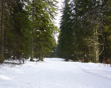 PXL021 Chapelle-des-Bois,