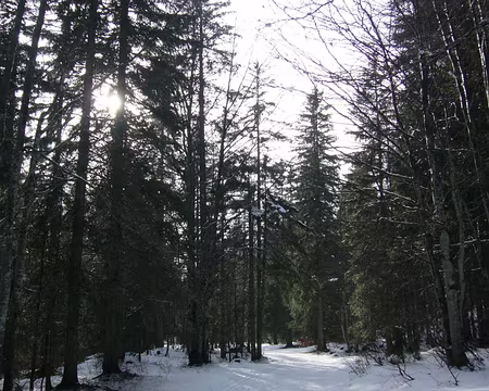 PXL022 règnent lumière d'hiver