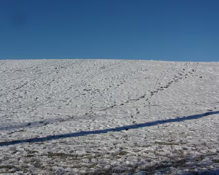 PXL029 Ombres longues de février