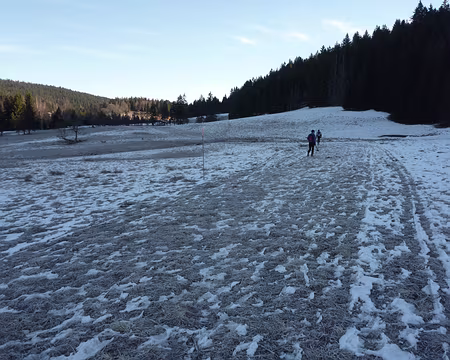 P1050447 Sur la trace d'une ancienne piste